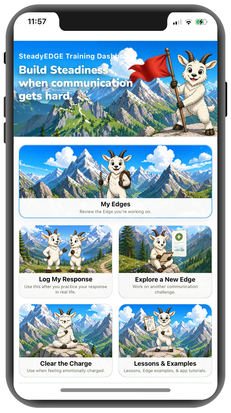SteadyEDGE app preview